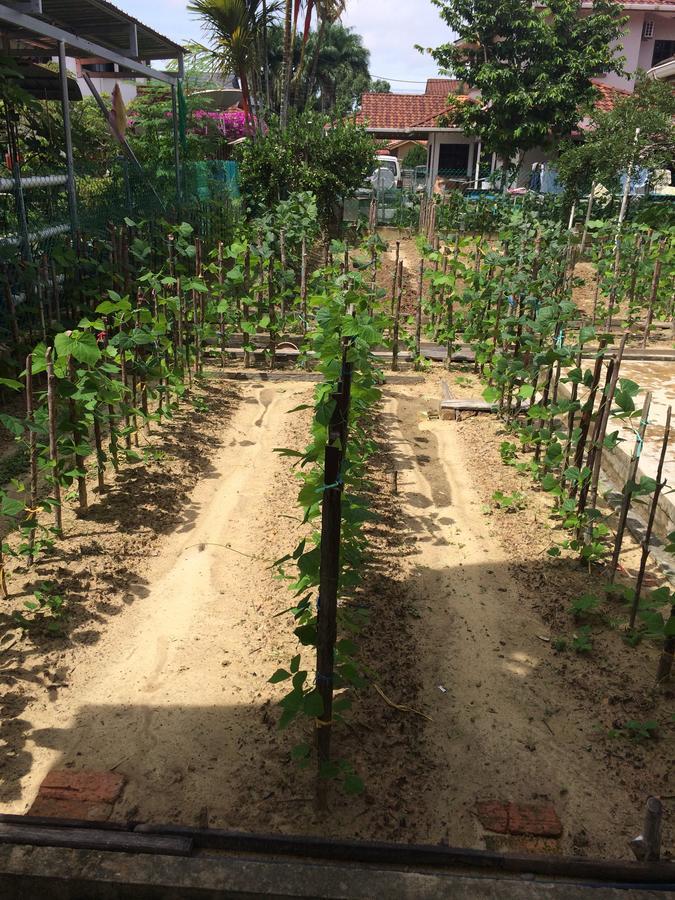 Golden Swan Sibu Homestay מראה חיצוני תמונה